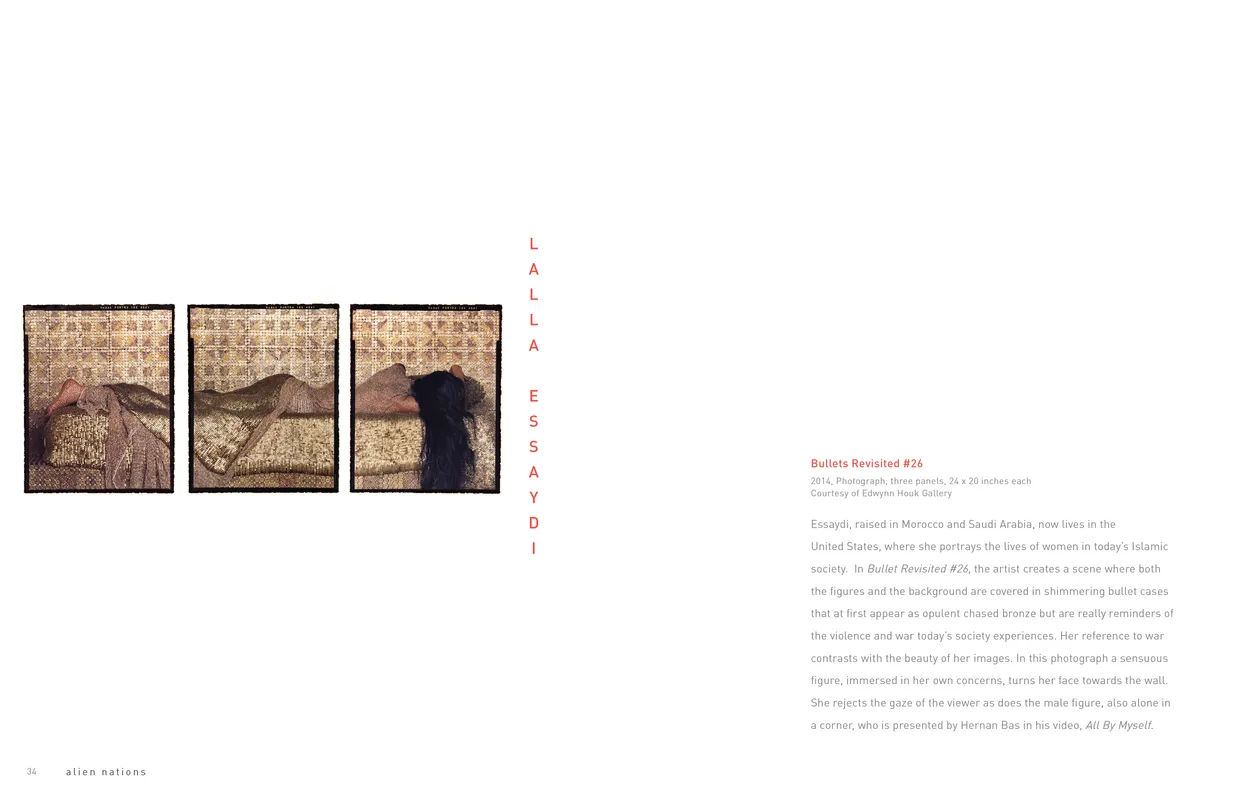 Alien Nations (2017) exhibition catalog, pages 34-35