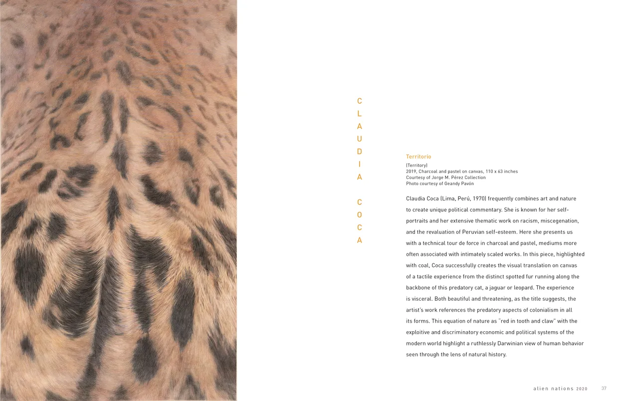 Alien Nations 2020 exhibition catalog, pages 36-37