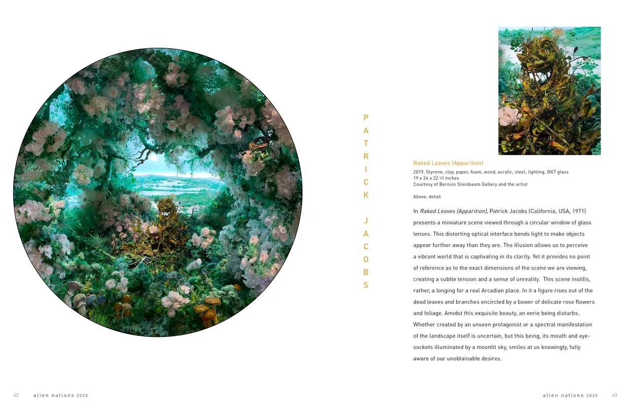 Alien Nations 2020 exhibition catalog, pages 42-43