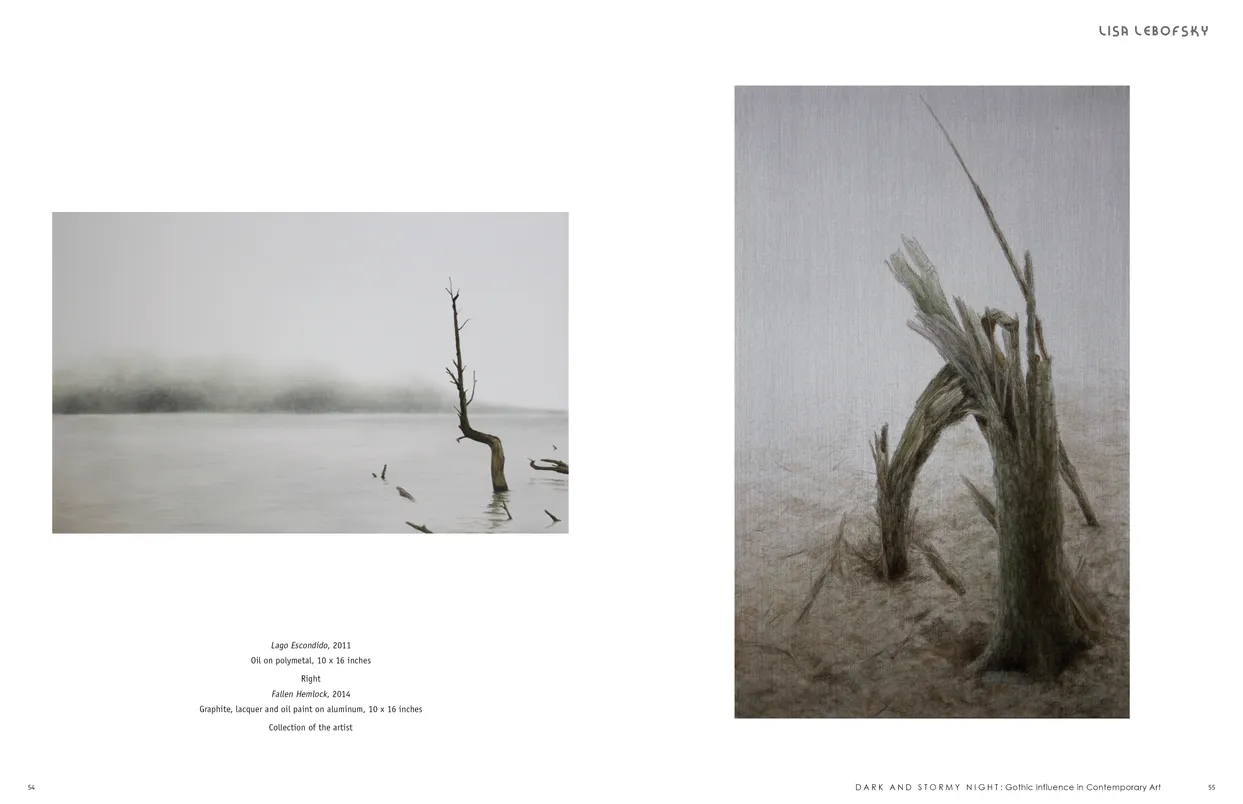 Dark and Stormy Night: Gothic Influence in Contemporary Art exhibition catalog, pages 54-55