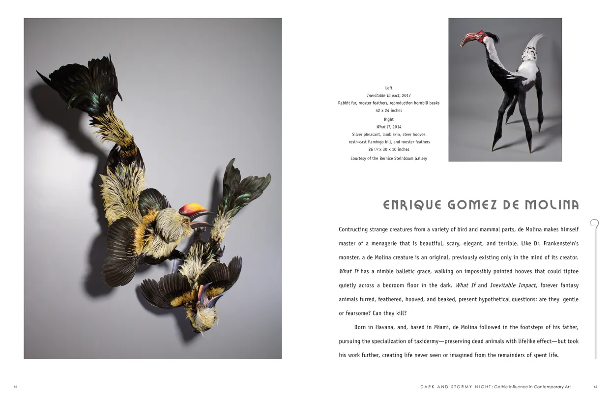 Dark and Stormy Night: Gothic Influence in Contemporary Art exhibition catalog, pages 66-67