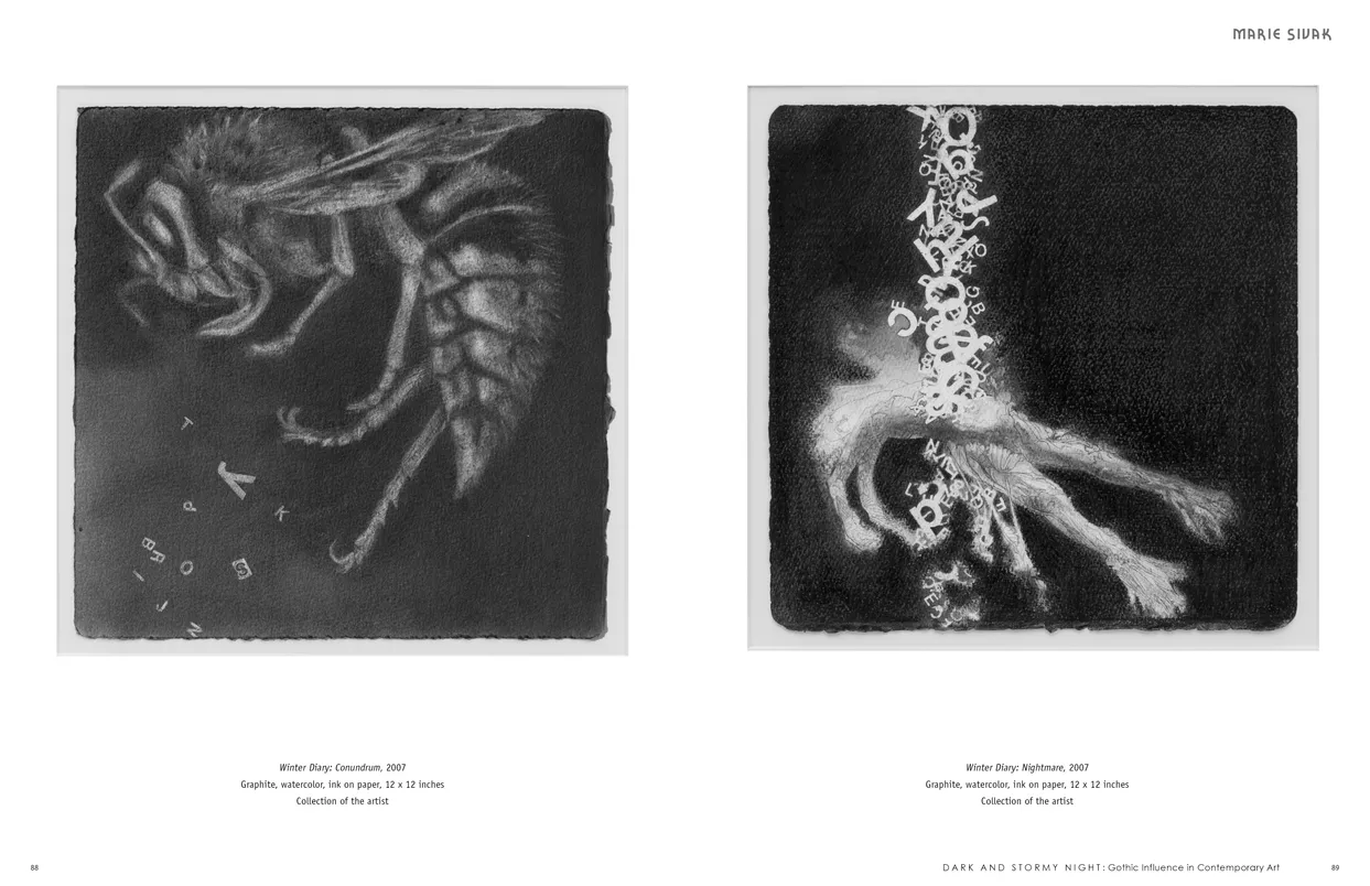 Dark and Stormy Night: Gothic Influence in Contemporary Art exhibition catalog, pages 88-89