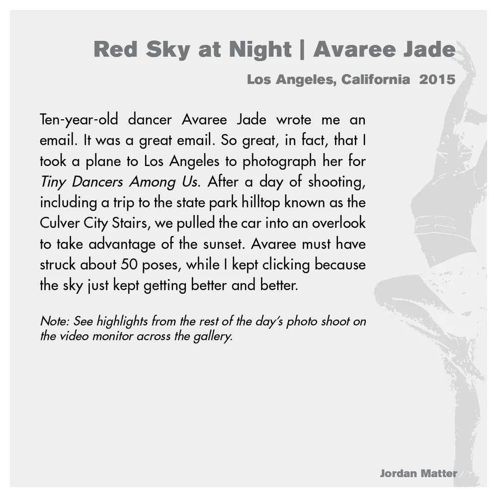 Jordan Matter: Dancers Among Us exhibition wall label 1/43