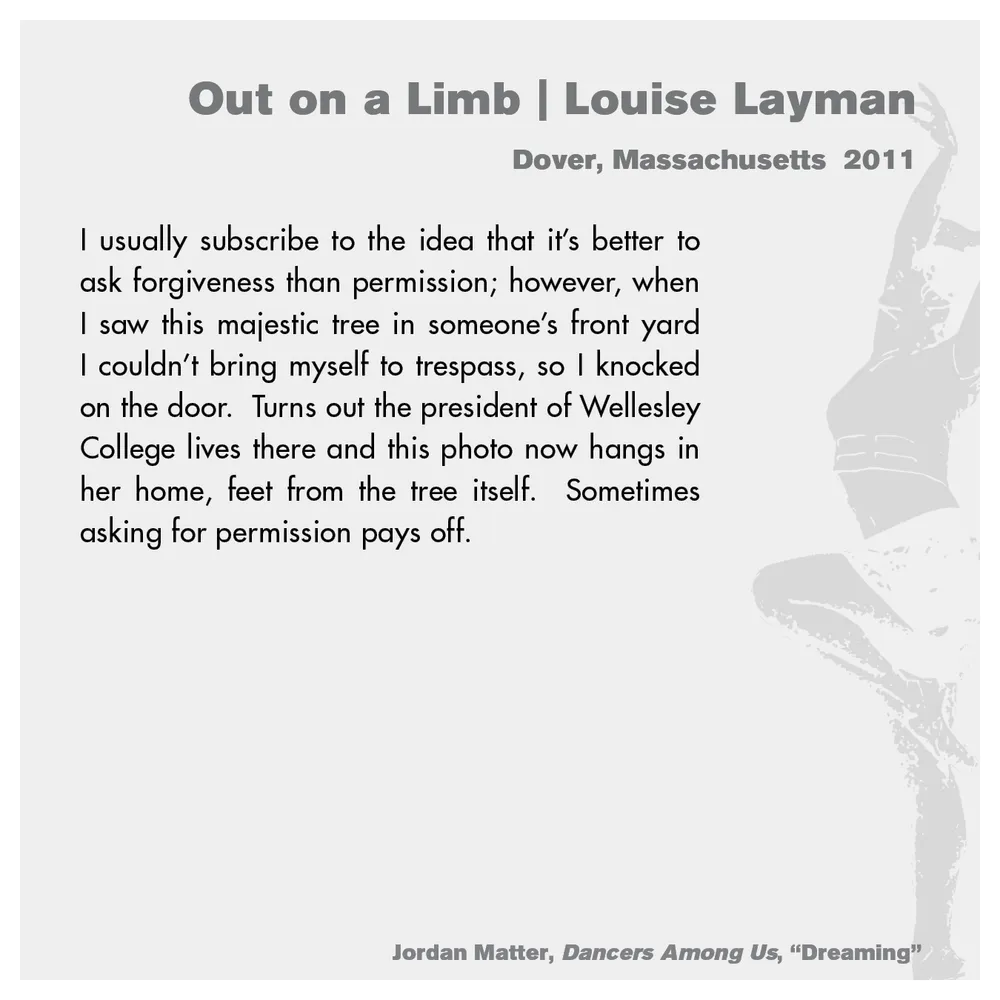 Jordan Matter: Dancers Among Us exhibition wall label 13/43