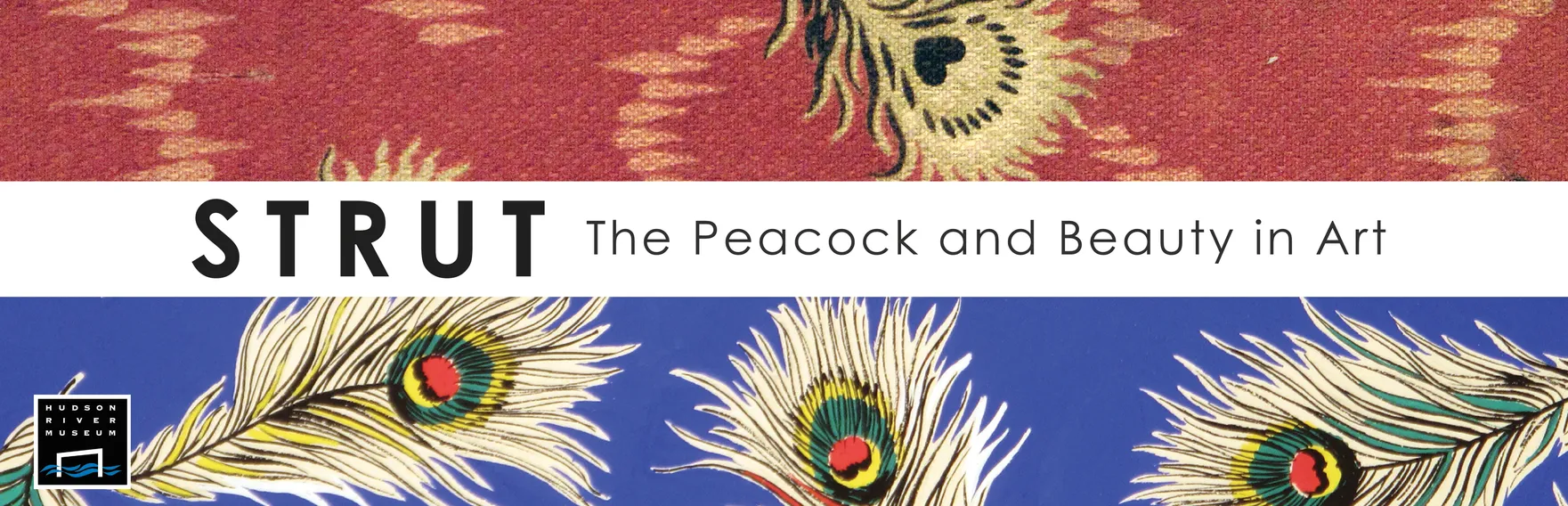 Banner for STRUT: The Peacock and Beauty in Art exhibition