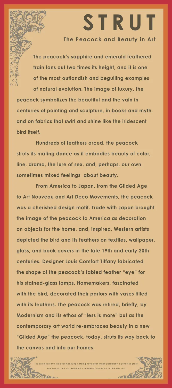 Introduction panel for STRUT: The Peacock and Beauty in Art exhibition