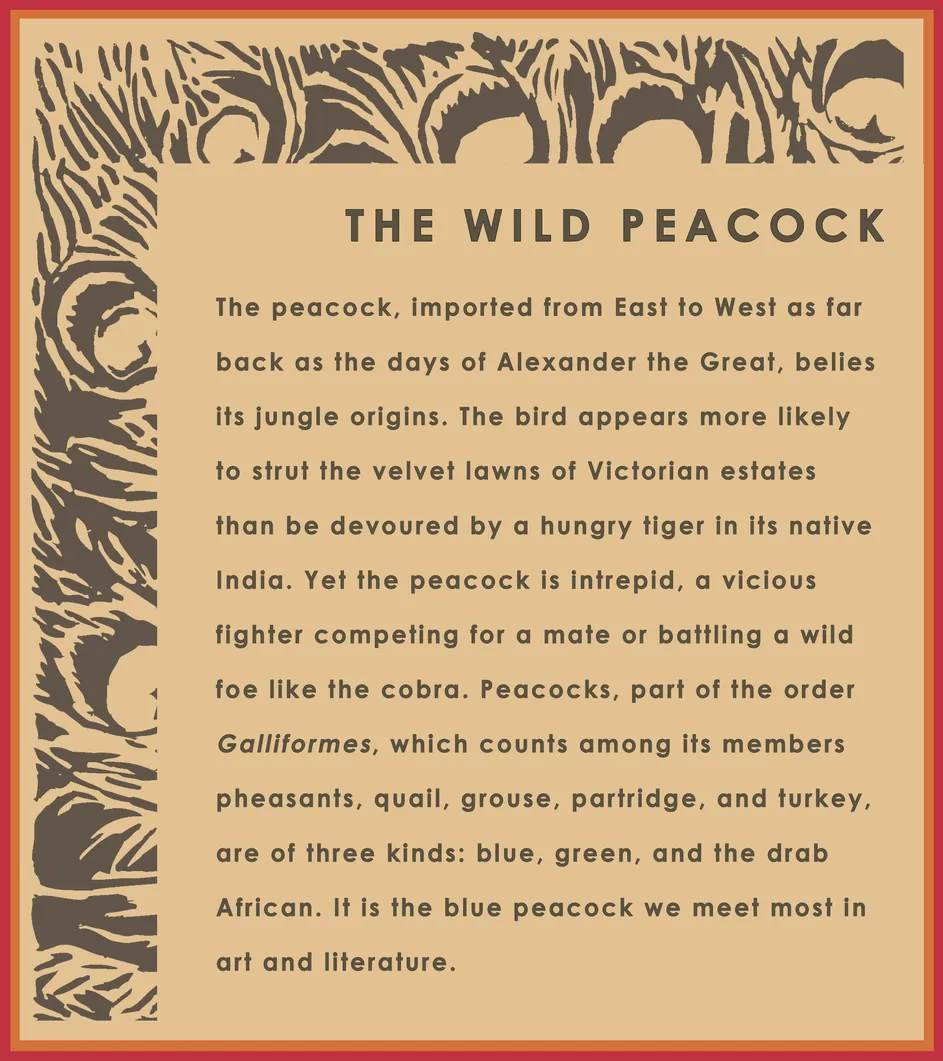 Theme Panel 1 for STRUT: The Peacock and Beauty in Art exhibition