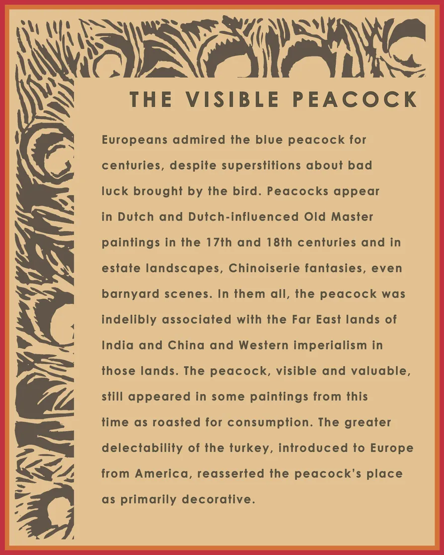 Theme Panel 4 for STRUT: The Peacock and Beauty in Art exhibition