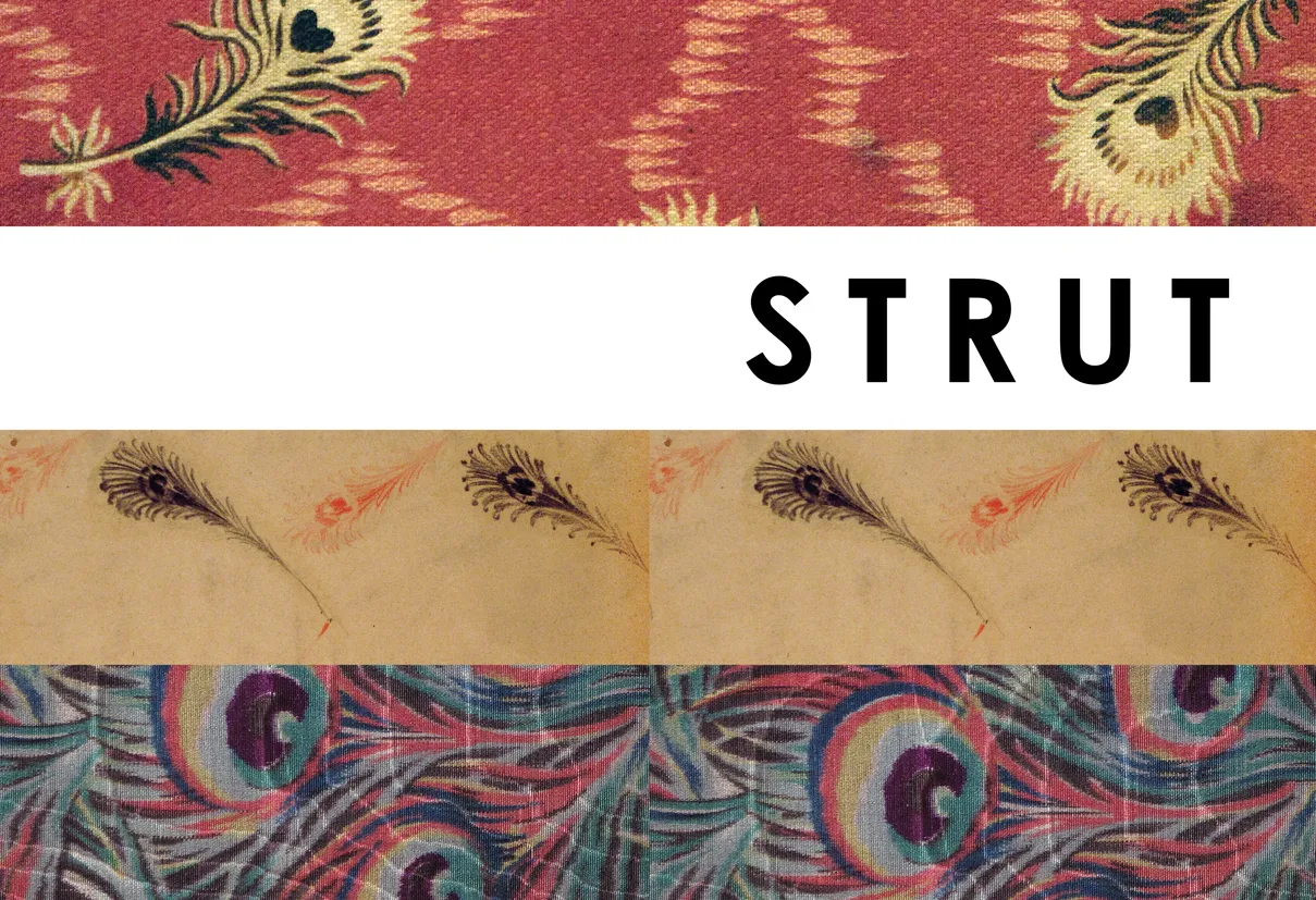 Strut: The Peacock and Beauty in Art exhibition catalog, pages 4-5