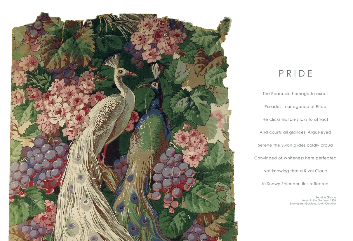 Strut: The Peacock and Beauty in Art exhibition catalog, pages 8-9