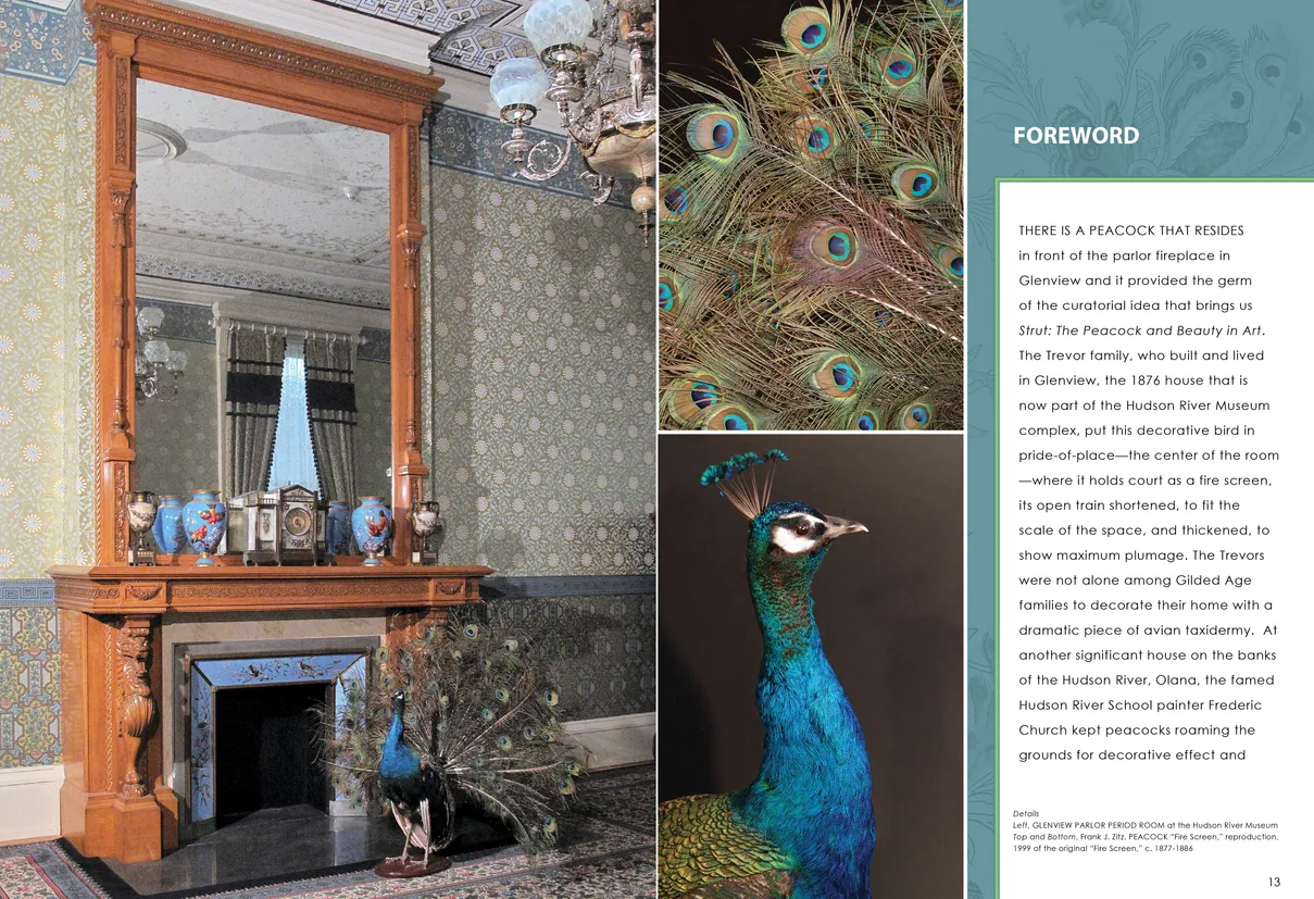 Strut: The Peacock and Beauty in Art exhibition catalog, pages 12-13