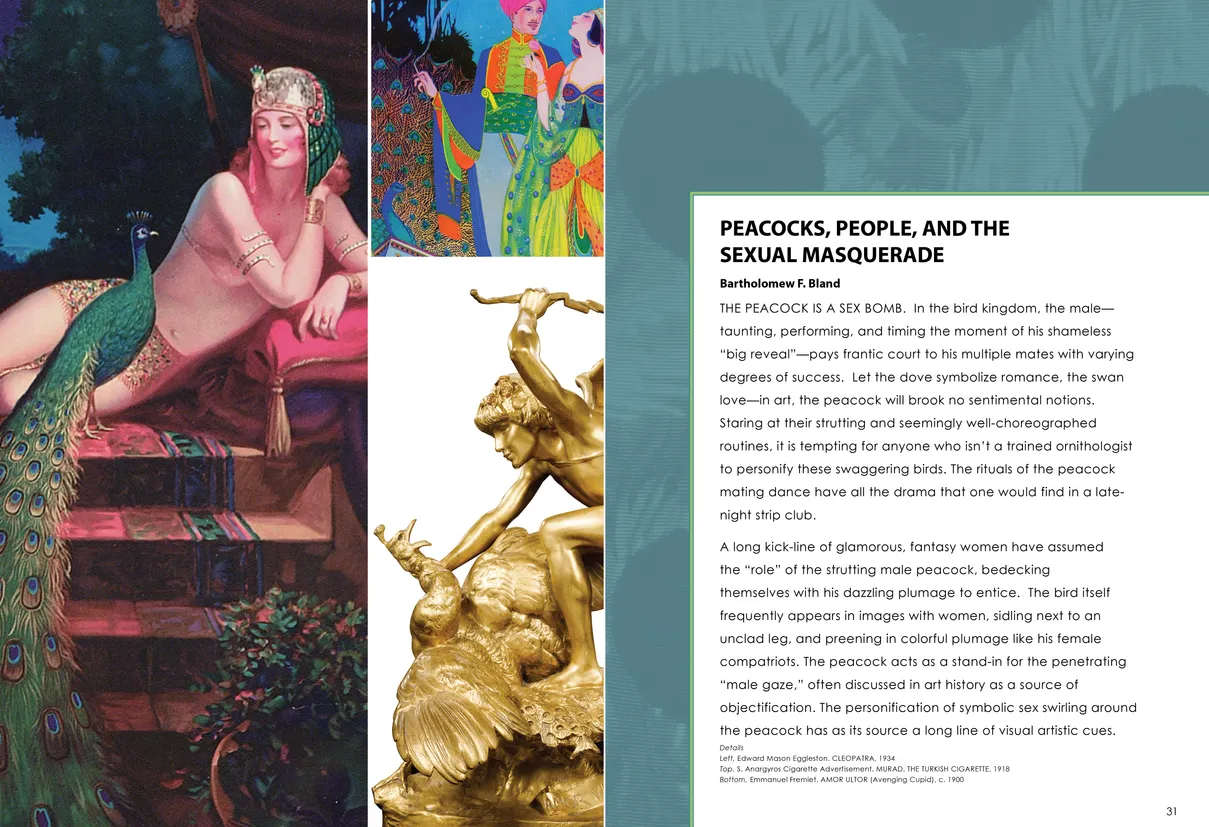 Strut: The Peacock and Beauty in Art exhibition catalog, pages 30-31