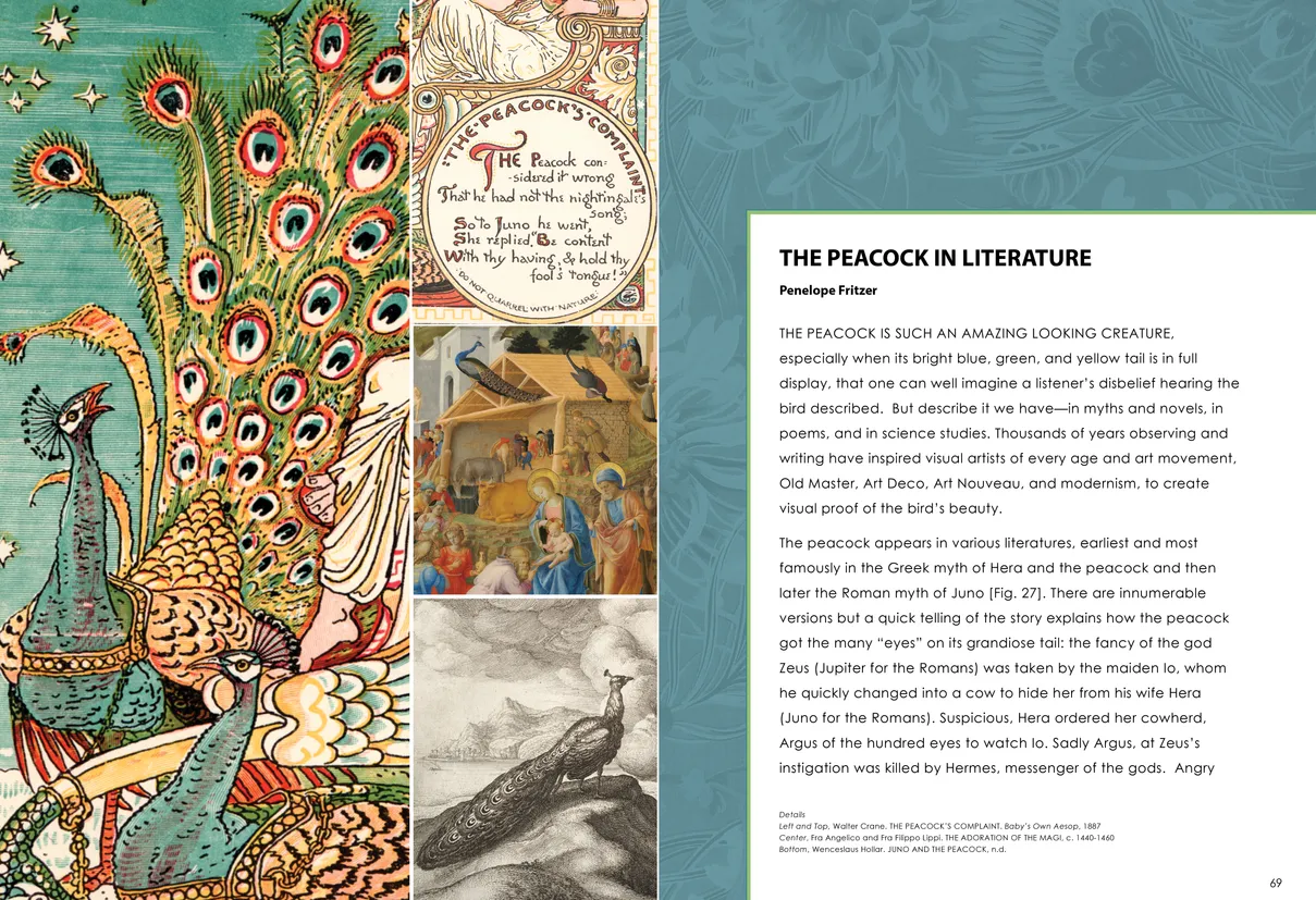 Strut: The Peacock and Beauty in Art exhibition catalog, pages 68-69