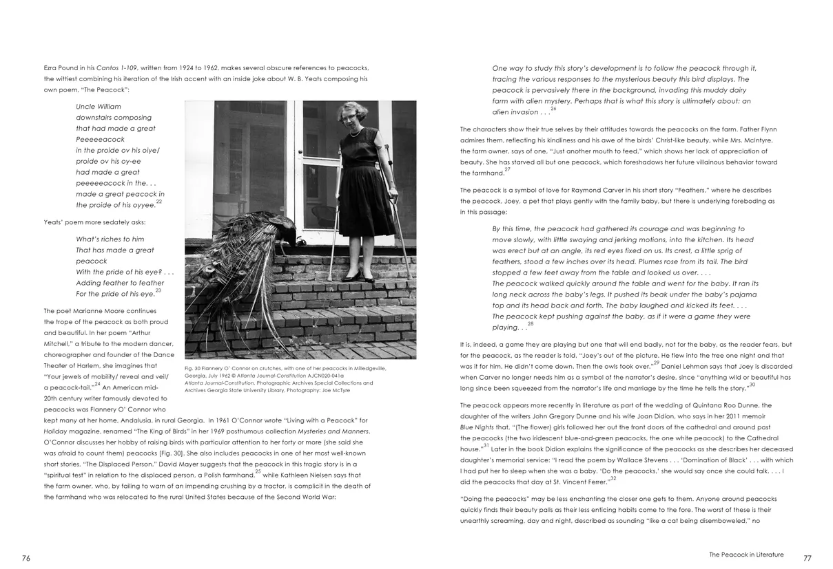 Strut: The Peacock and Beauty in Art exhibition catalog, pages 76-77