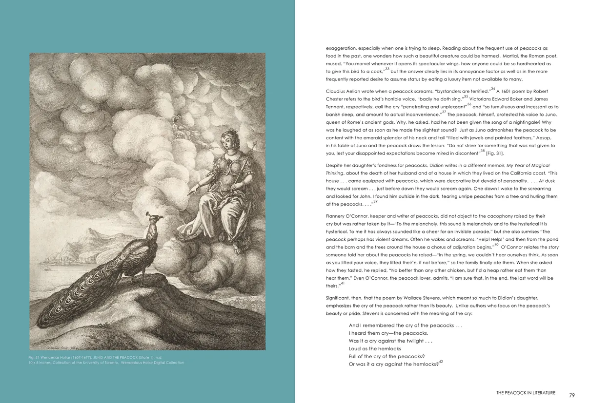 Strut: The Peacock and Beauty in Art exhibition catalog, pages 78-79