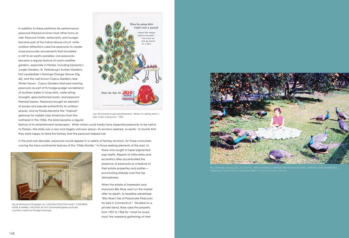 Strut: The Peacock and Beauty in Art exhibition catalog, pages 118-119