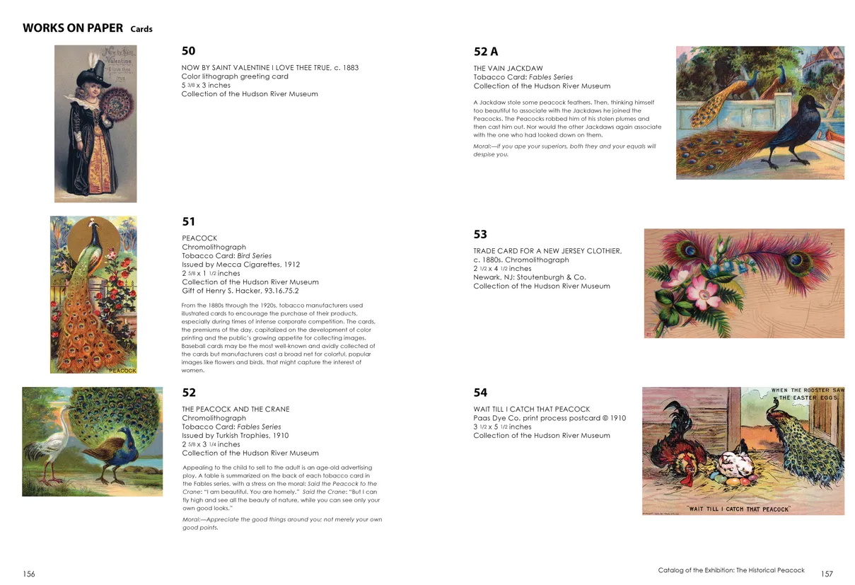 Strut: The Peacock and Beauty in Art exhibition catalog, pages 156-157