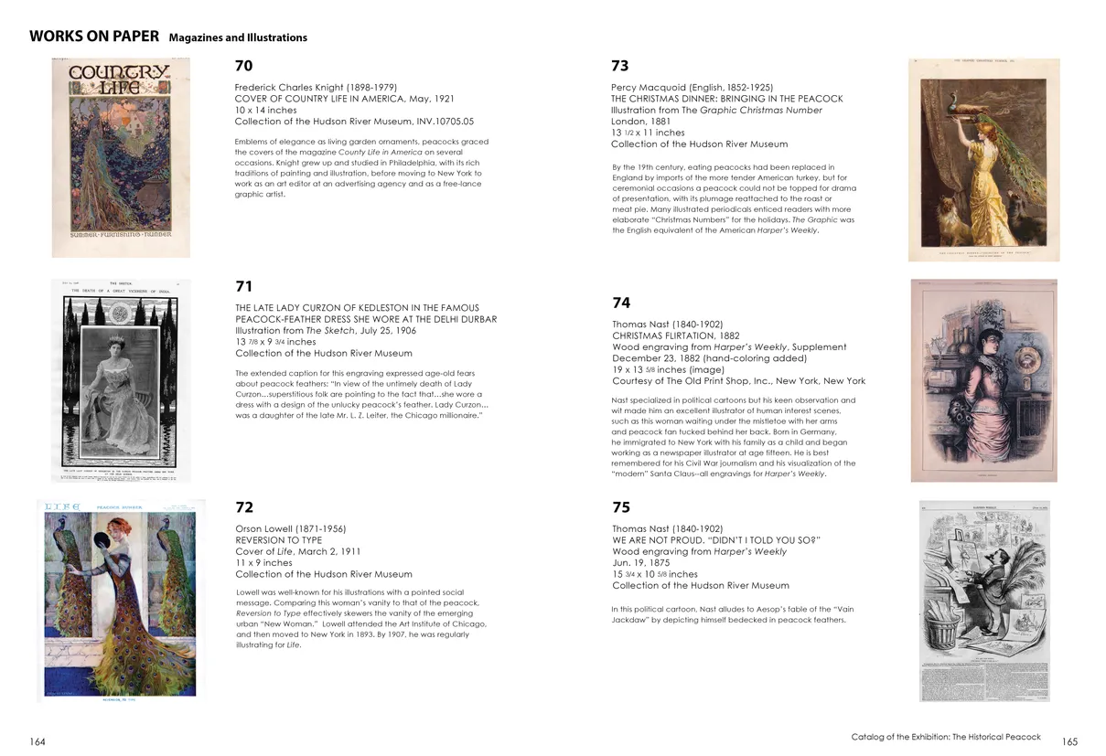 Strut: The Peacock and Beauty in Art exhibition catalog, pages 164-165