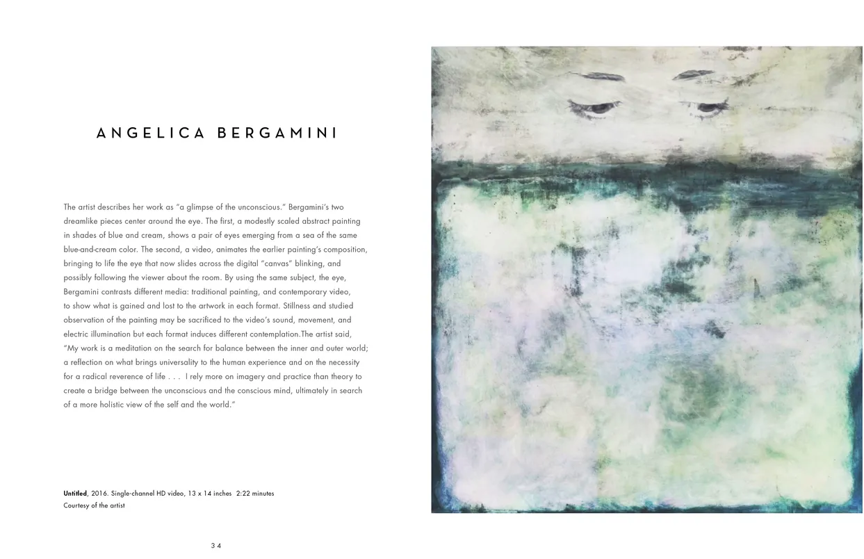 The Eyes Have It exhibition catalog, pages 34-35