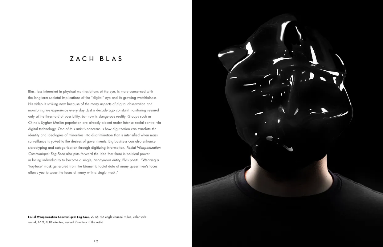 The Eyes Have It exhibition catalog, pages 42-43