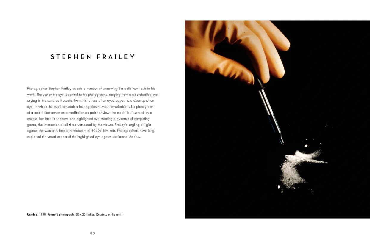 The Eyes Have It exhibition catalog, pages 80-81