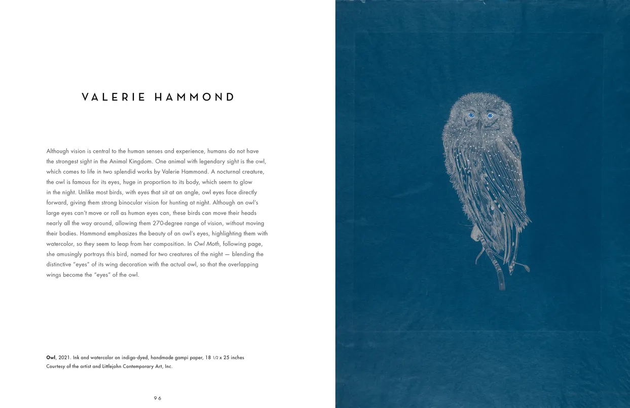 The Eyes Have It exhibition catalog, pages 96-97