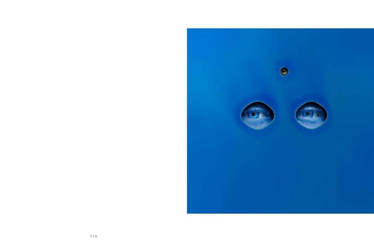 The Eyes Have It exhibition catalog, pages 116-117