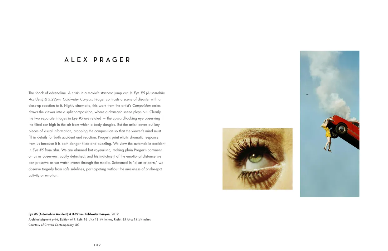 The Eyes Have It exhibition catalog, pages 132-133
