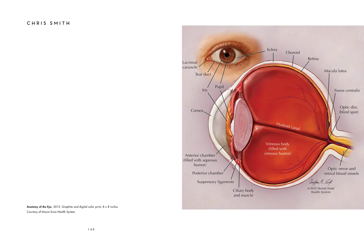 The Eyes Have It exhibition catalog, pages 148-149