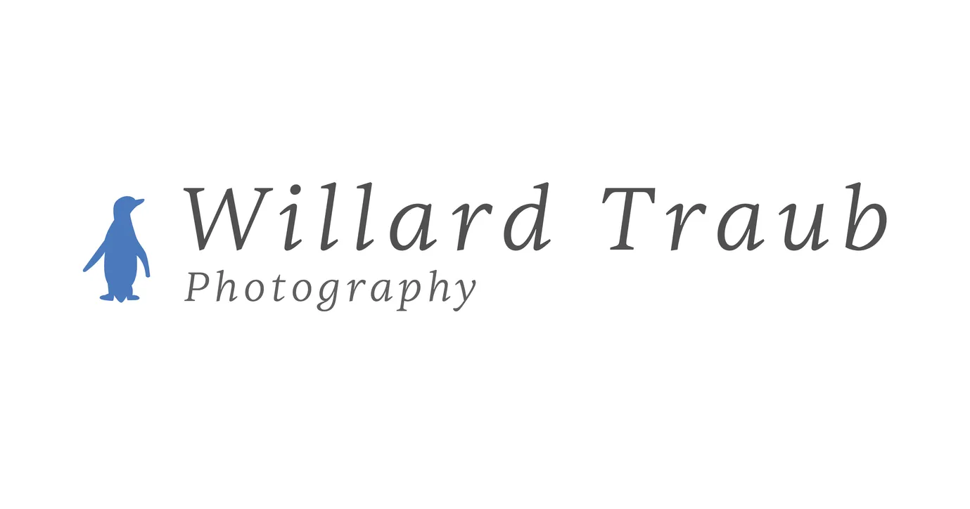 Willard Traub Photography web header logo