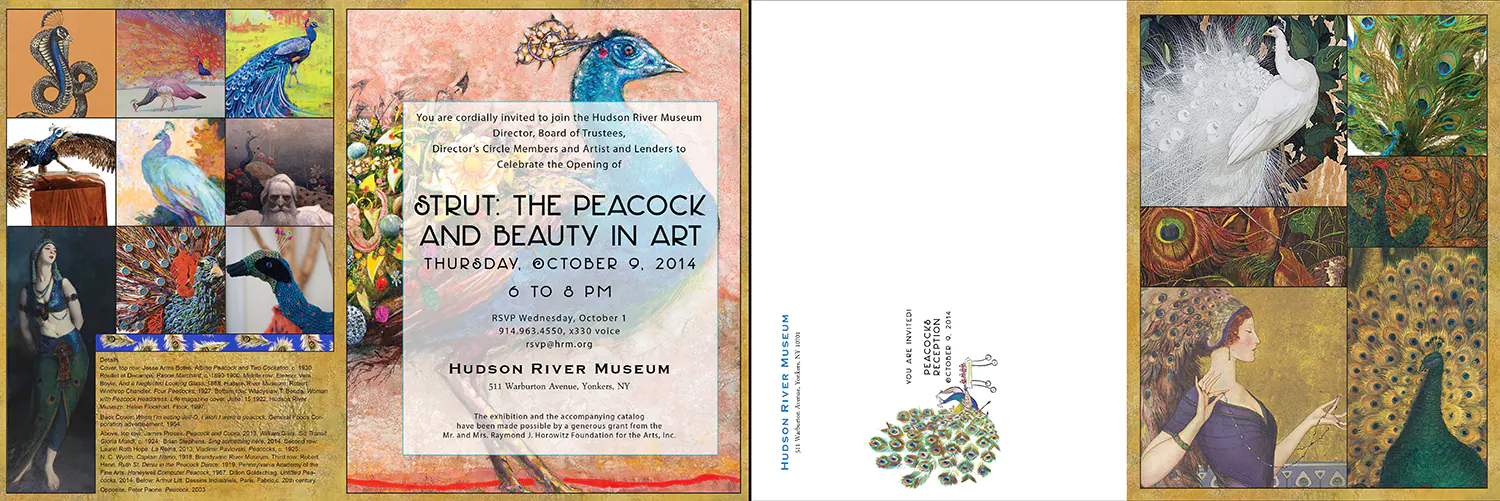 Front and back of folding invitation for the exhibition <i>Strut: The Peacock and Beauty in Art</i> for the Hudson River Museum. Invitation design by Alex Stevovich.